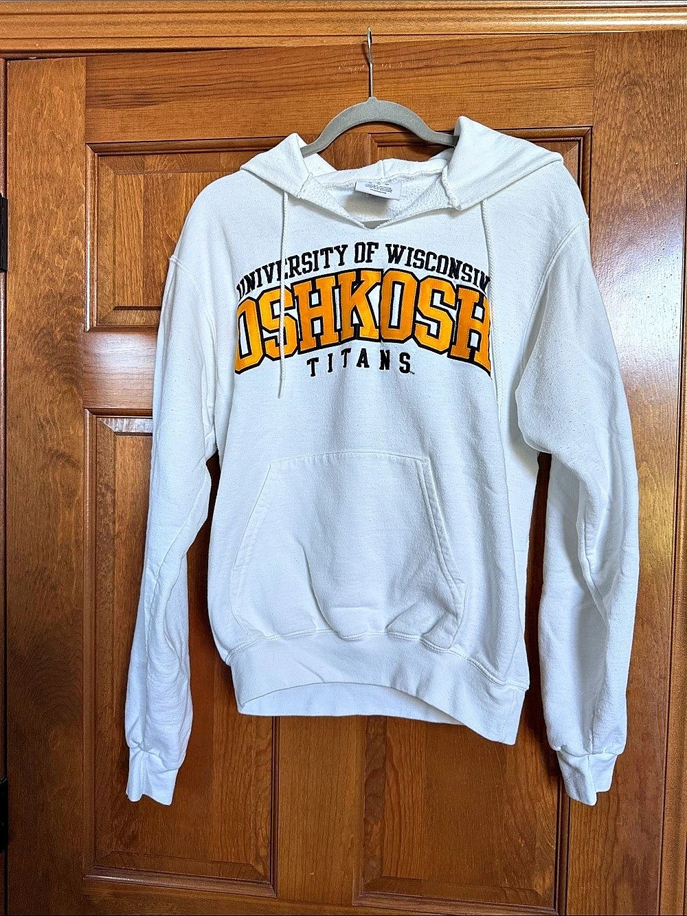 Champion University of Wisconsin Oshkosh Titans Hoodie